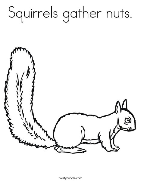 Squirrels gather nuts coloring page
