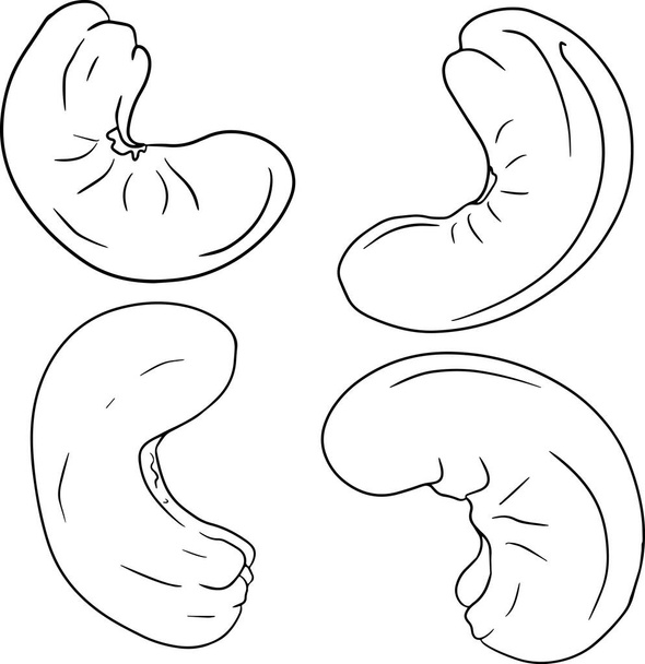 Browse free stock vectors and images d by elenamih