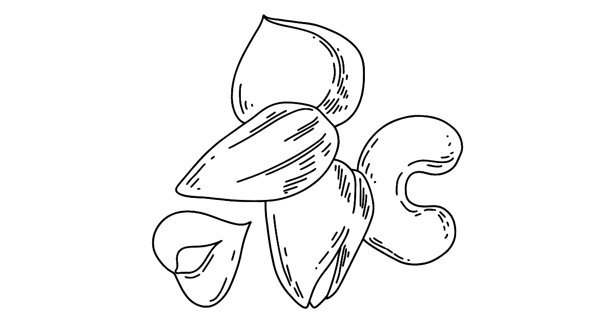 Nuts coloring page for kids â online or printable for free