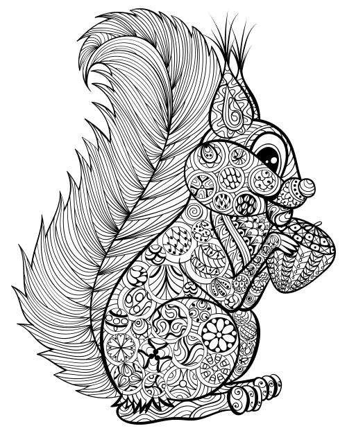 Go nuts for a squirrel coloring page