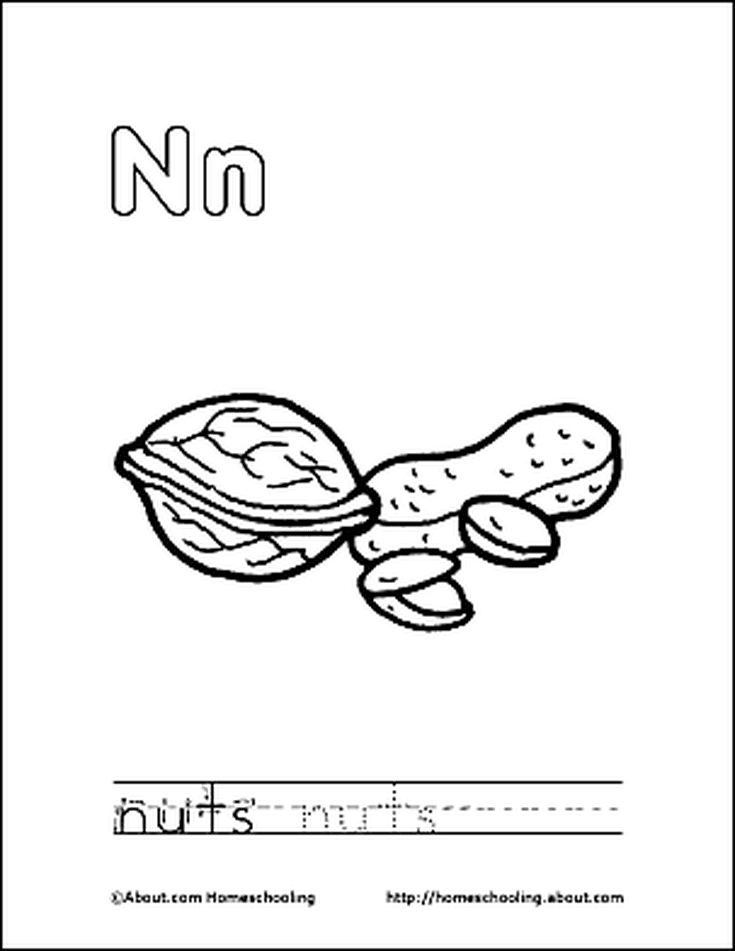 Letter n coloring book