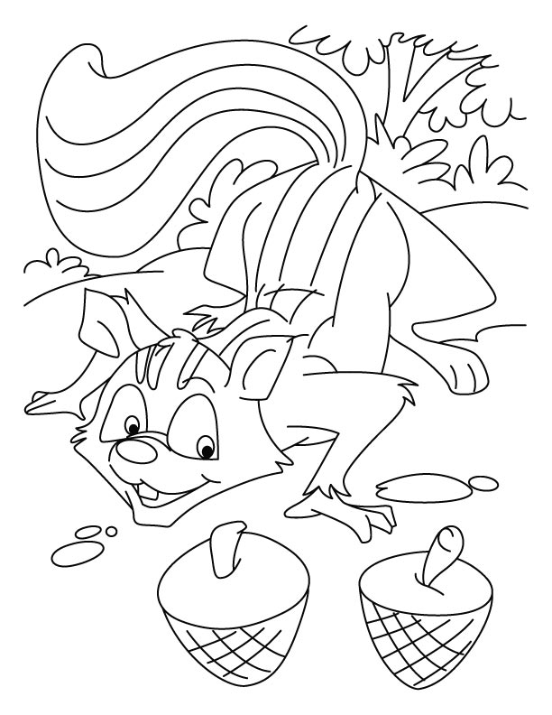 Squirrel looking at the nuts coloring pages download free squirrel looking at the nuts coloring pages for kids best coloring pages