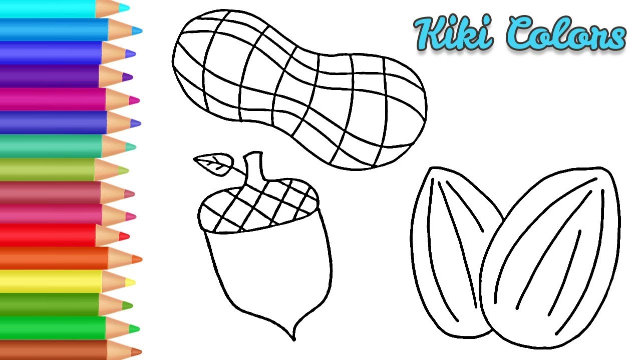 How to draw nuts drawing for kids and toddlers coloring page video