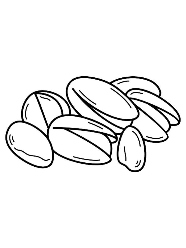 Nuts coloring pages