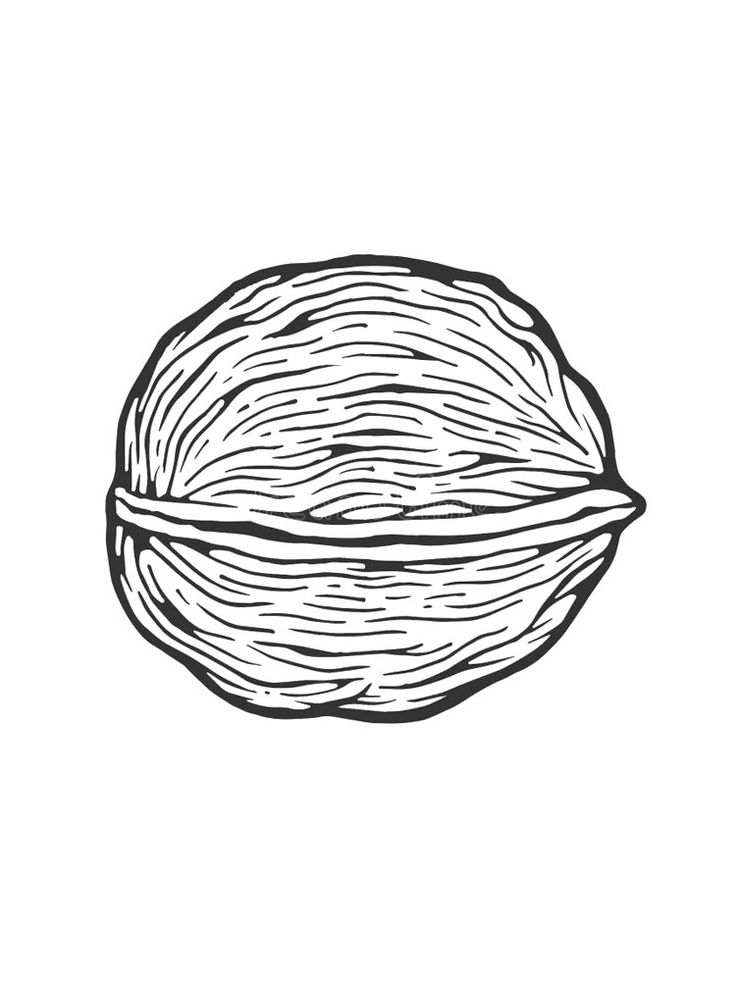 Nuts coloring pages coloring pages coloring pages for kids food coloring pages