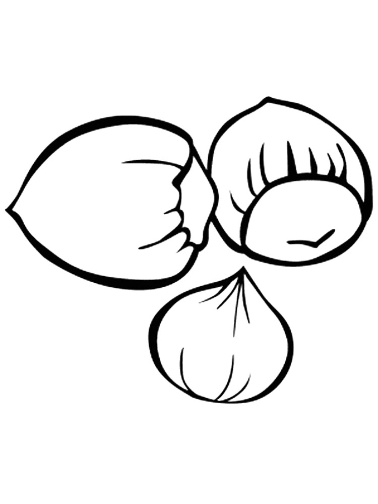 Nuts coloring pages