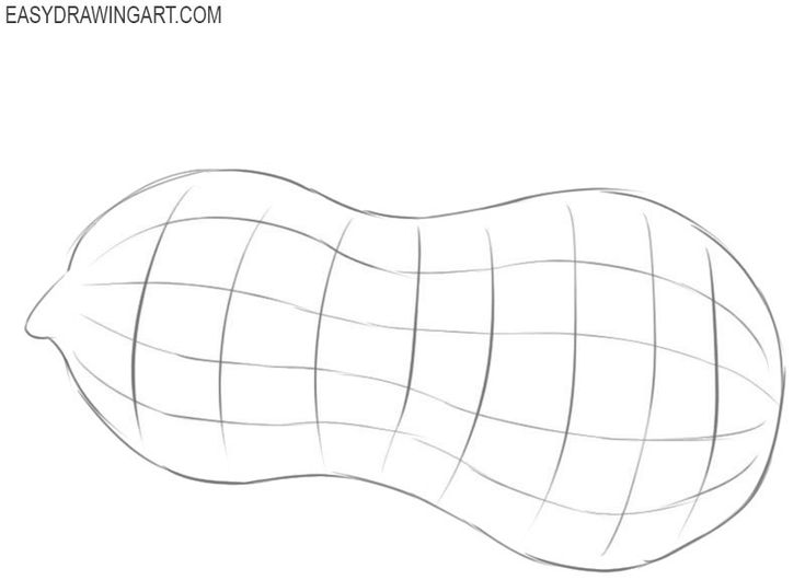 How to draw a peanut peanut drawings easy coloring pages
