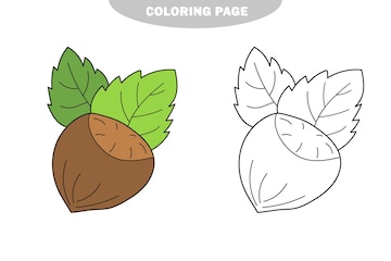 Premium vector simple coloring page hazelnut to be colored the coloring book easy kid educational game color and black and white version