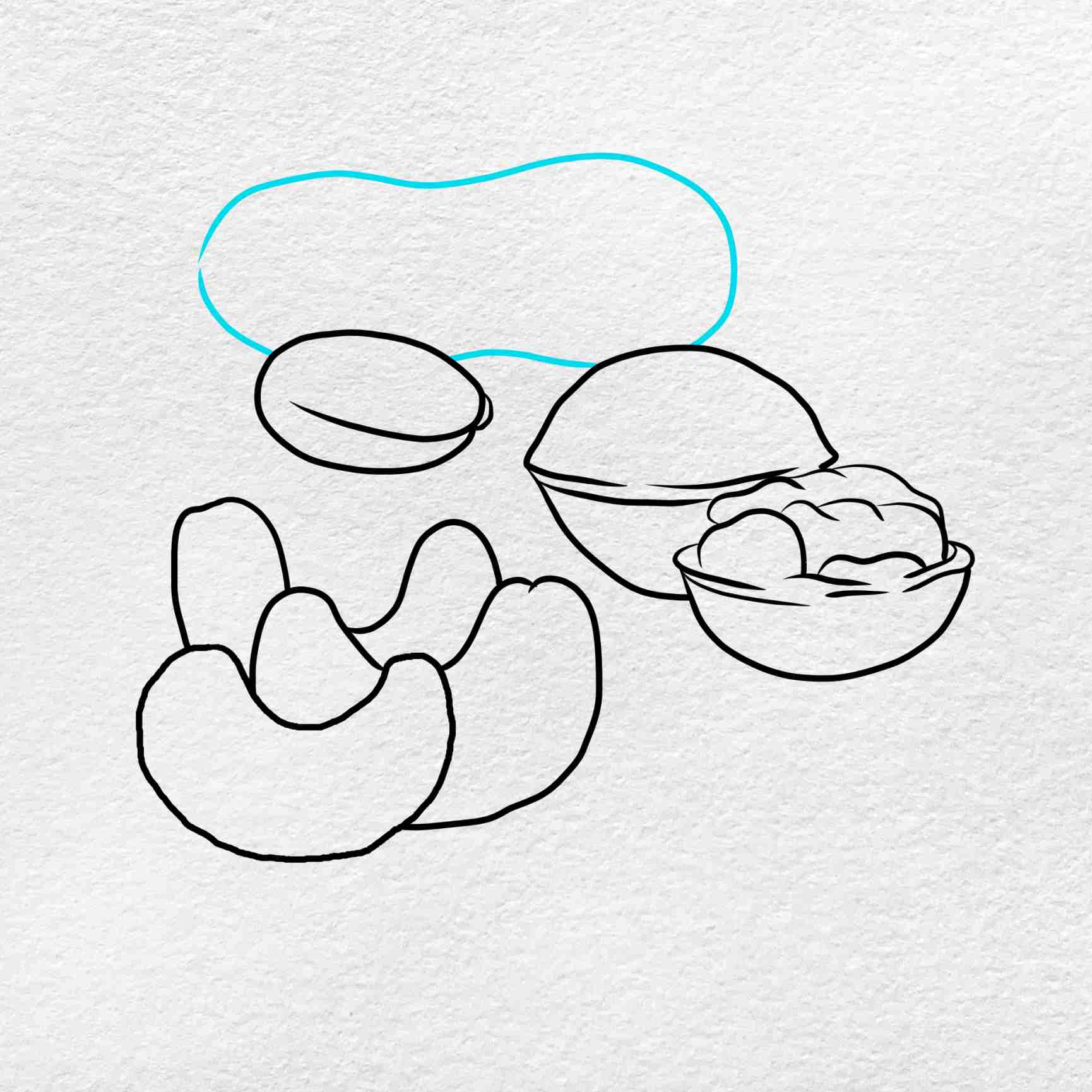 How to draw nuts