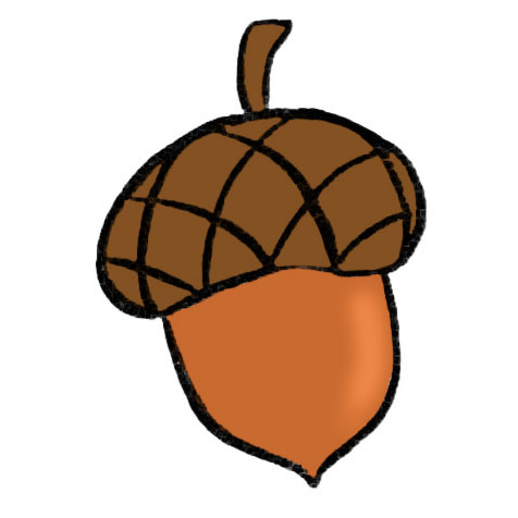 Acorn drawing easy steps