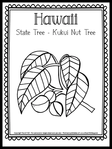 Hawaii state tree coloring page kukui nut tree free printable â the art kit