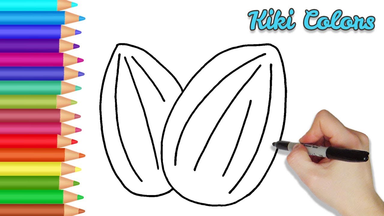 How to draw alonds drawing for kids and toddlers coloring page video