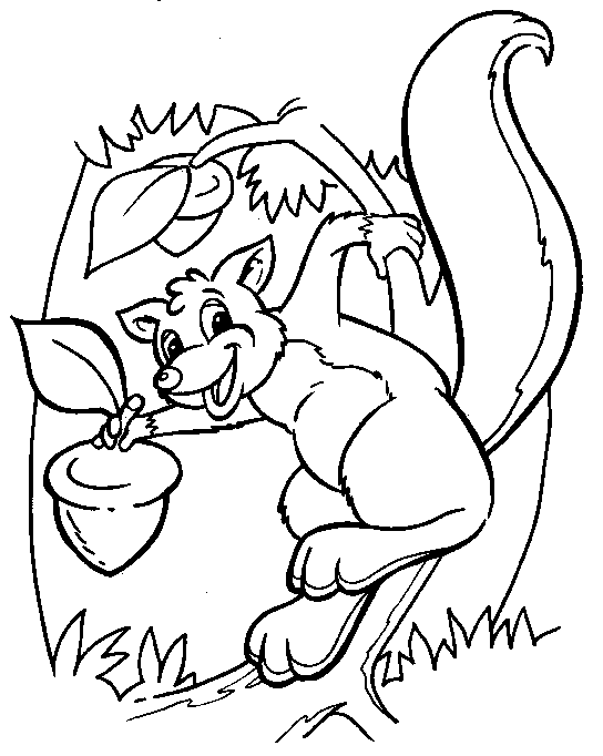 Nuts coloring pages