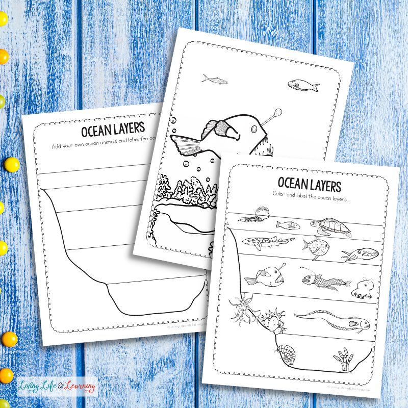 Layers of the ocean coloring sheets