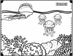Ð free printable ocean coloring pages