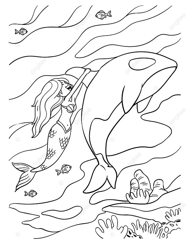 Mermaid and dolpn coloring page for kids toddler ocean coloring vector toddler ocean coloring png and vector with transparent background for free download