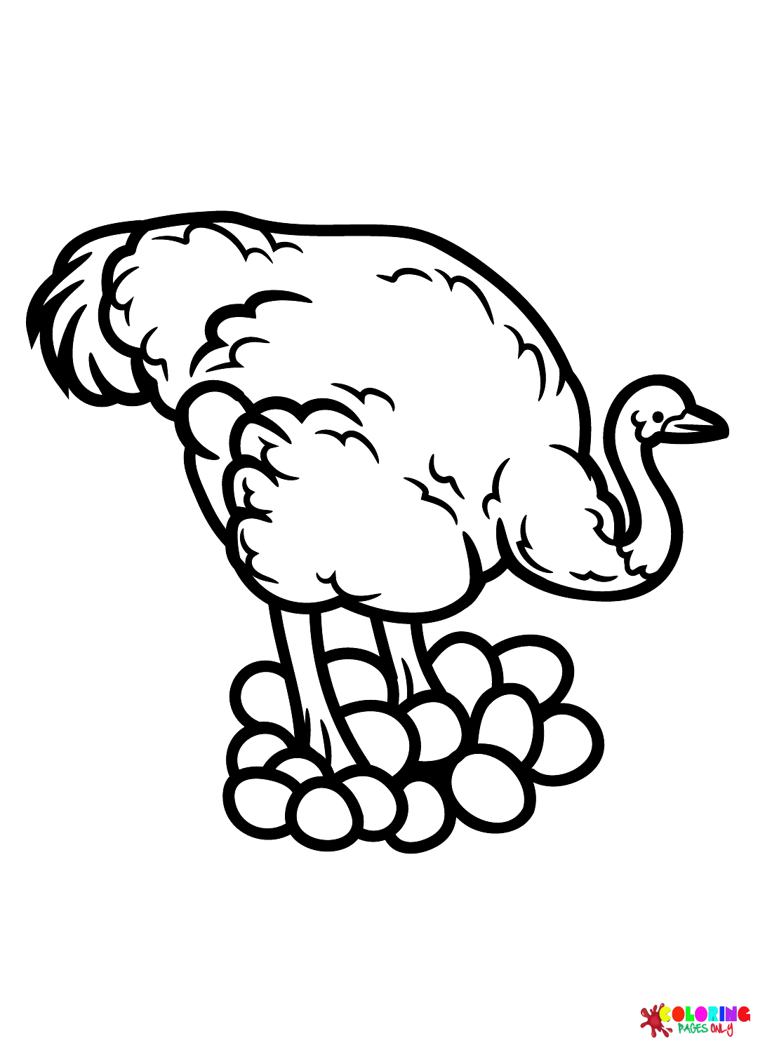 Ostrich coloring pages printable for free download