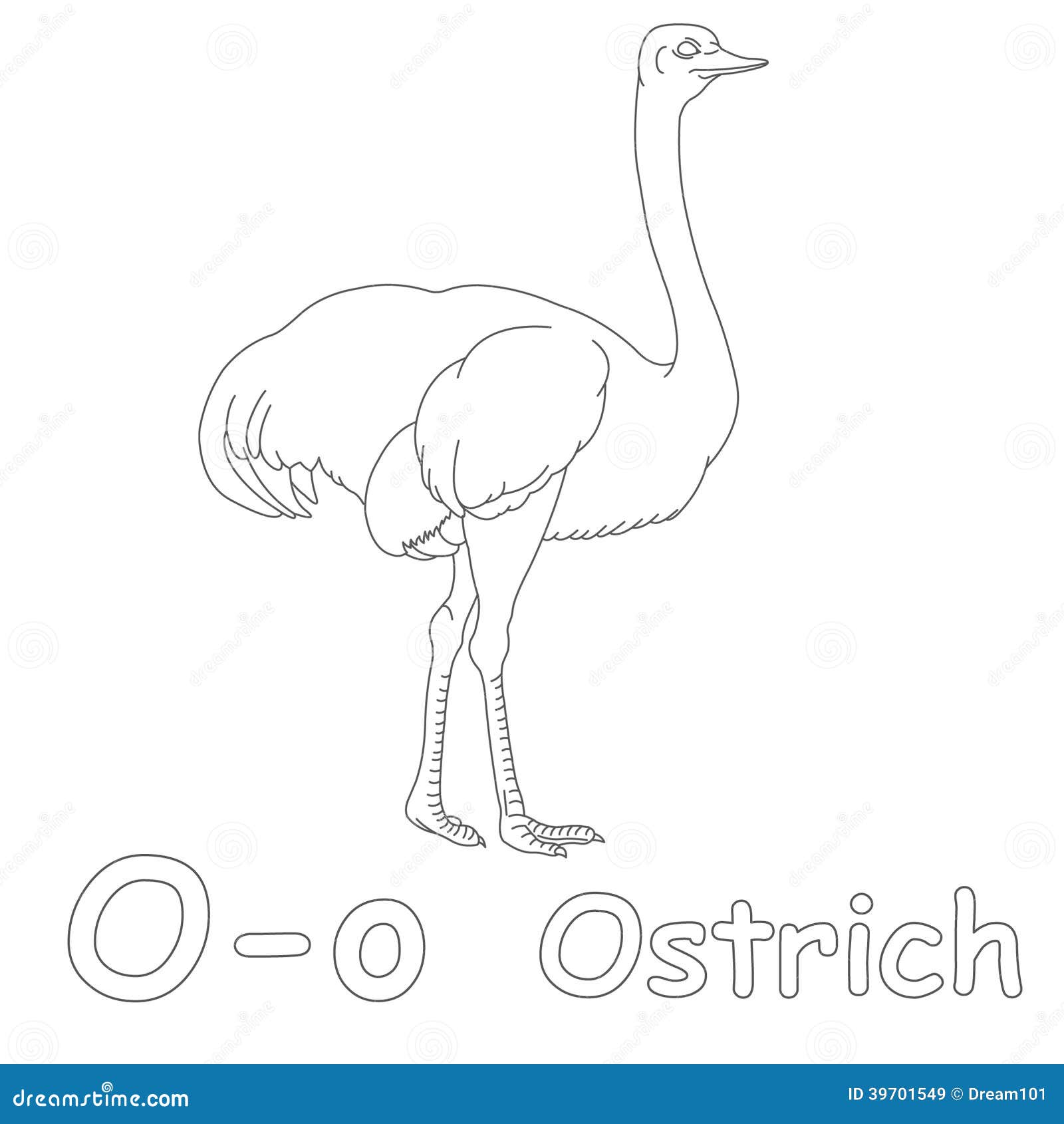 O for ostrich coloring page stock illustration