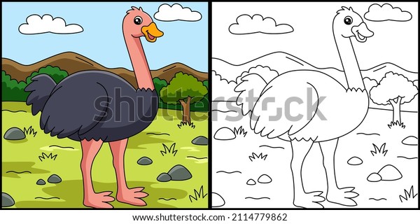 Ostrich coloring page images stock photos d objects vectors