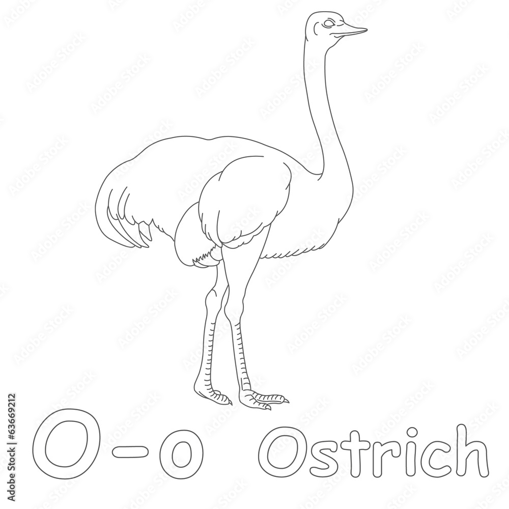 O for ostrich coloring page illustration