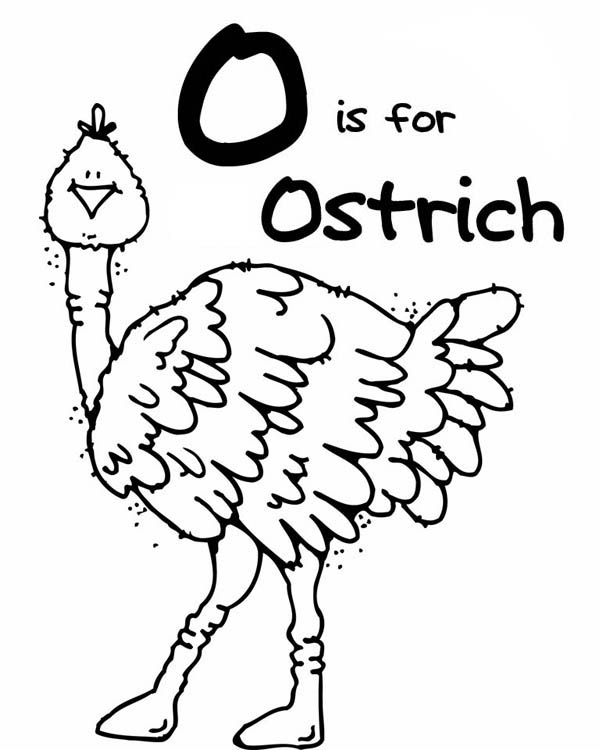 O is for ostrich coloring page color luna coloring pages online coloring color