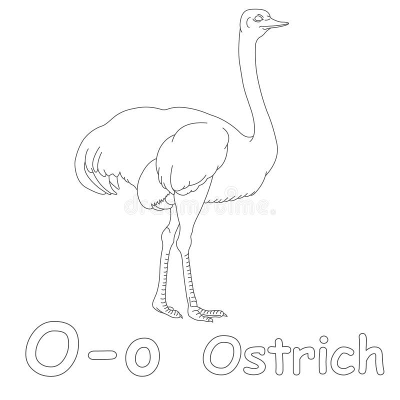 O for ostrich coloring page stock illustration