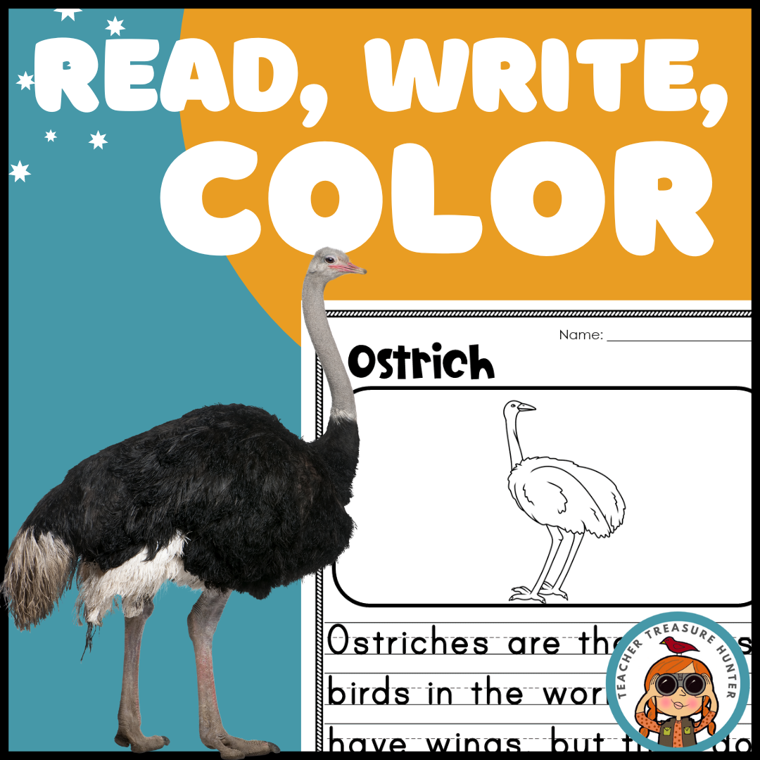 Ostrich read write color african animal writing activity made by teachers