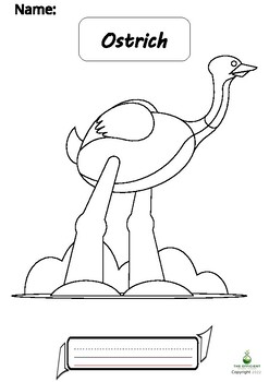 Ostrich writing practicecolouring page by the efficient science teacher