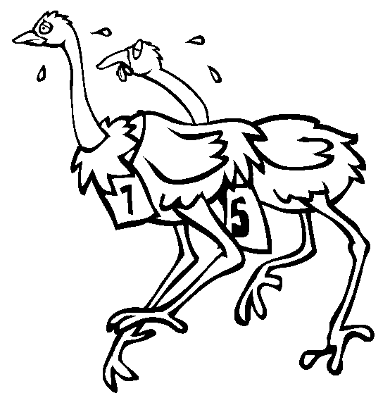 Ostrich coloring page