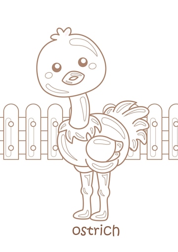 Premium vector alphabet o for ostrich vocabulary school lesson coloring pages for kids and adult activity