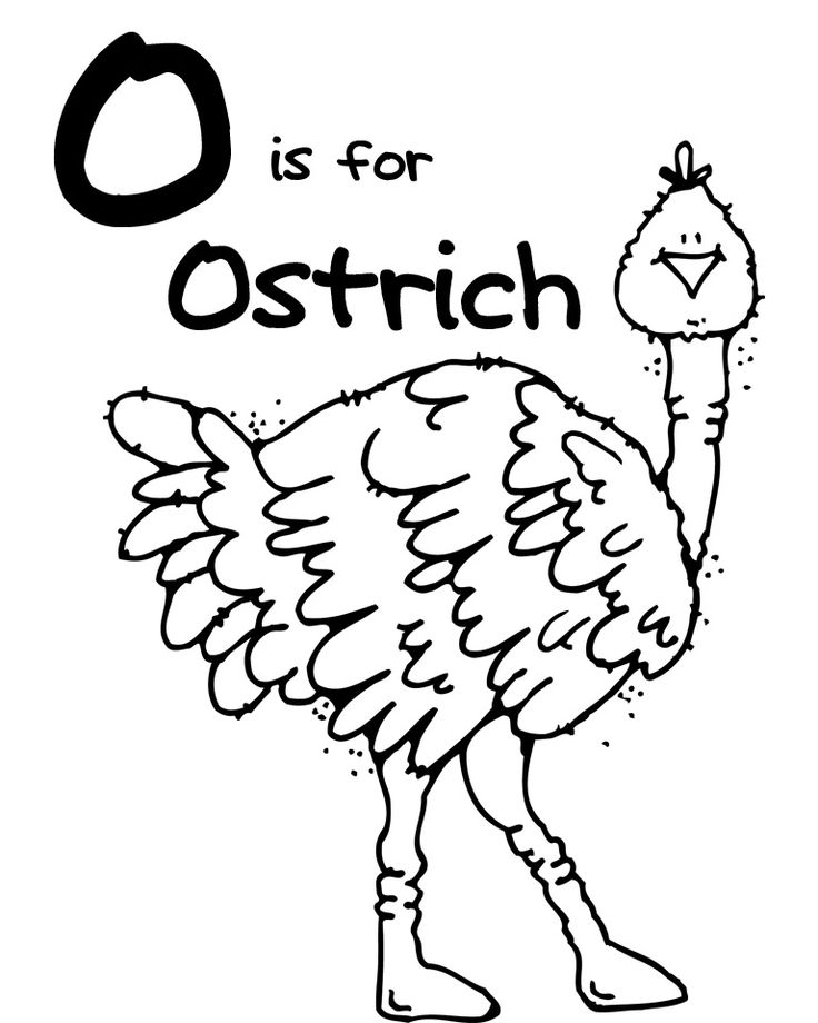 O is for ostrich zoo animal coloring pages animal coloring pages alphabet coloring pages