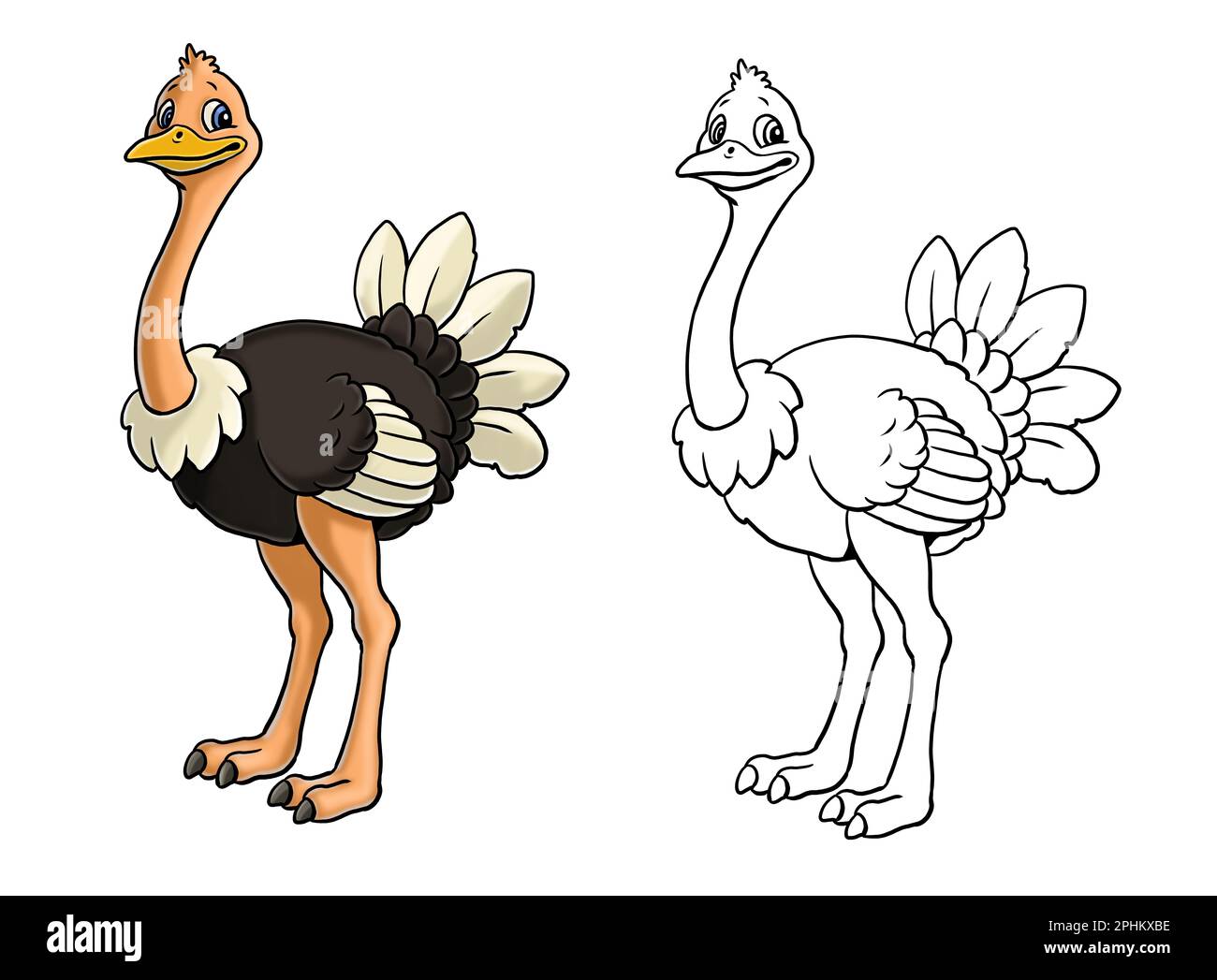 Ostrich with kids cut out stock images pictures