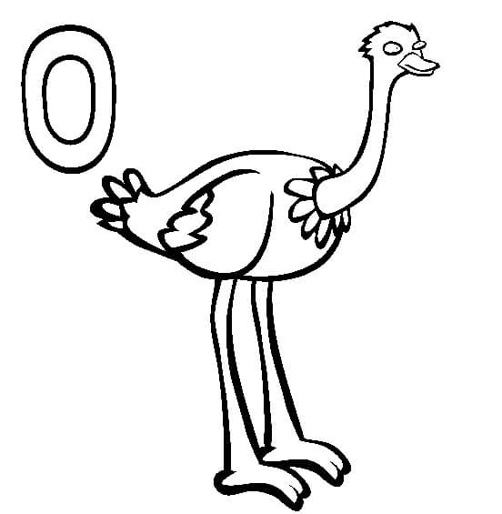 Drawing letter o and ostrich coloring page