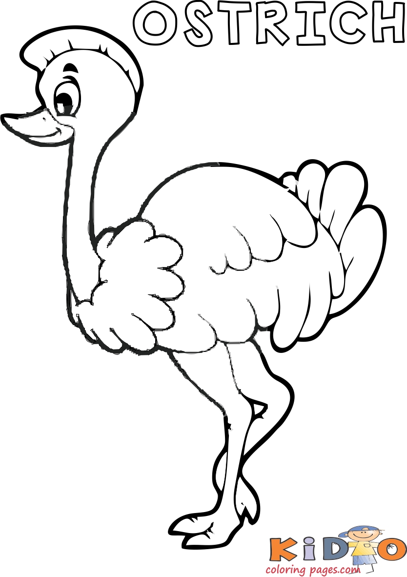 Kids coloring pages