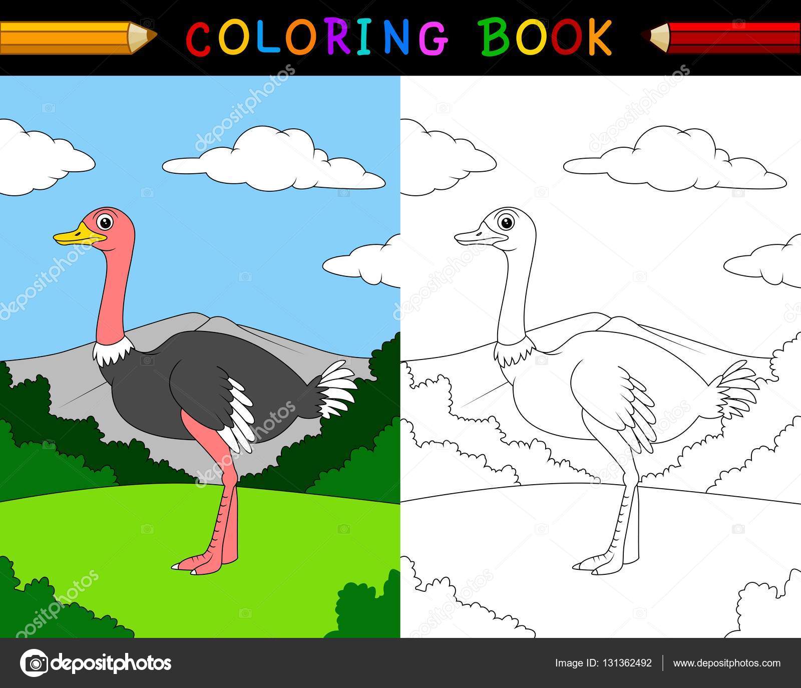 Cartoon ostrich coloring book stock vector by dreamcreation