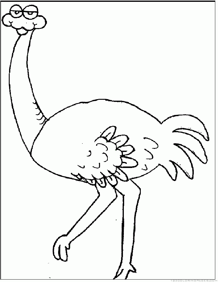 Ostrich coloring pages