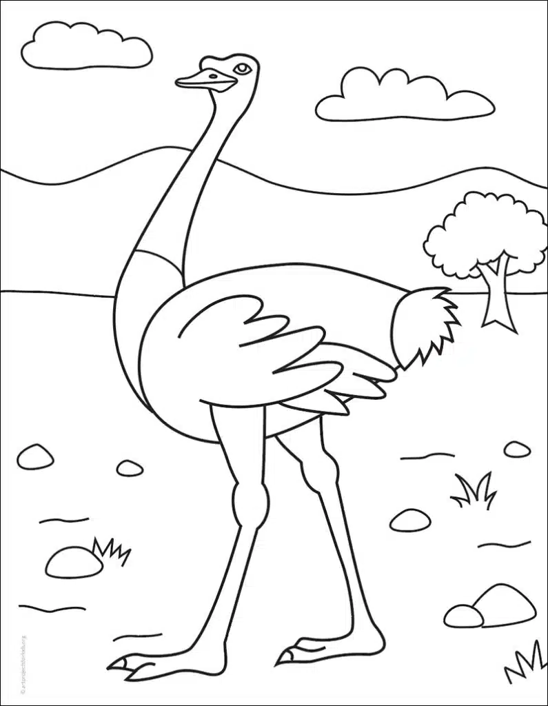 Easy how to draw an ostrich tutorial and ostrich coloring page