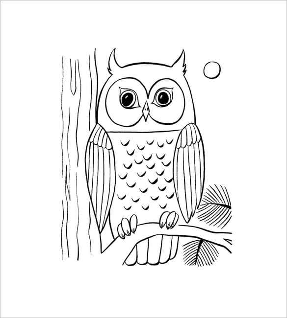 Owl shape