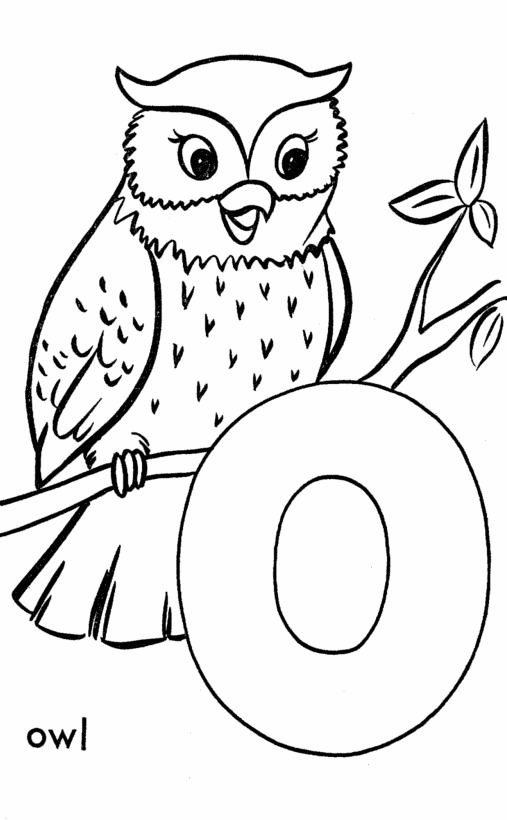 Top free printable owl coloring pages online owl coloring pages alphabet coloring pages coloring pages for kids