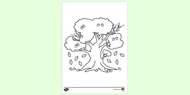 Oak tree louring sheet primary louring pages ks