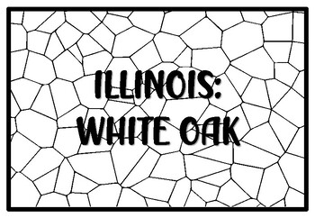 Illinois white oak state tree coloring pages by anisha sharma tpt