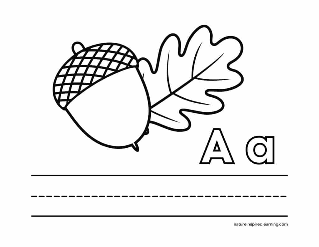 Acorn coloring pages perfect for autumn