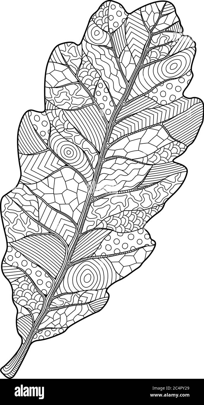 Coloring book page with decorative oak leaf on white background stock vector image art