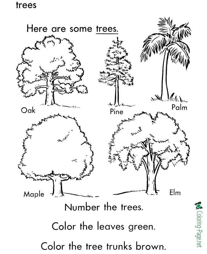 Tree leaves coloring pages