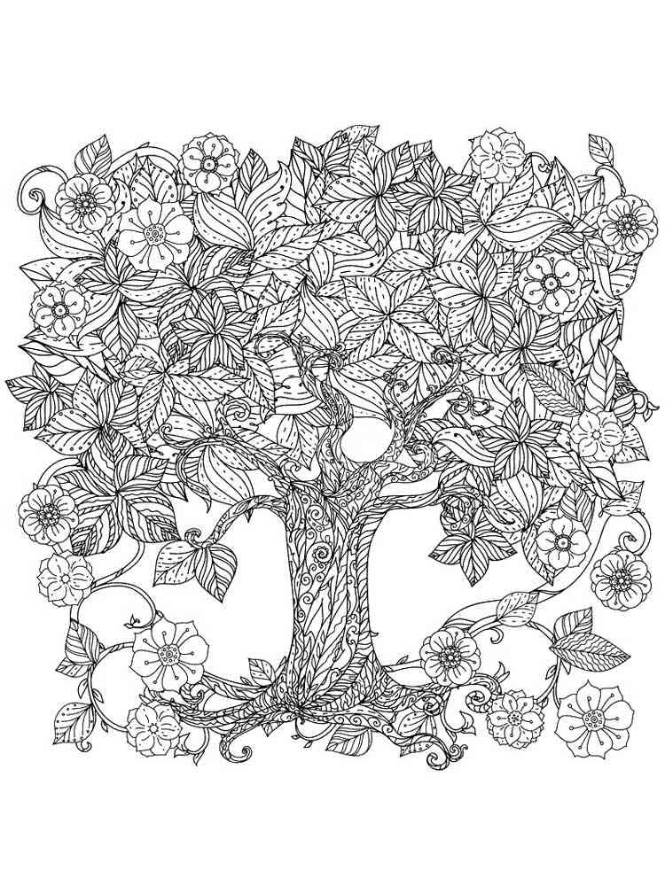 Oak coloring pages for adults