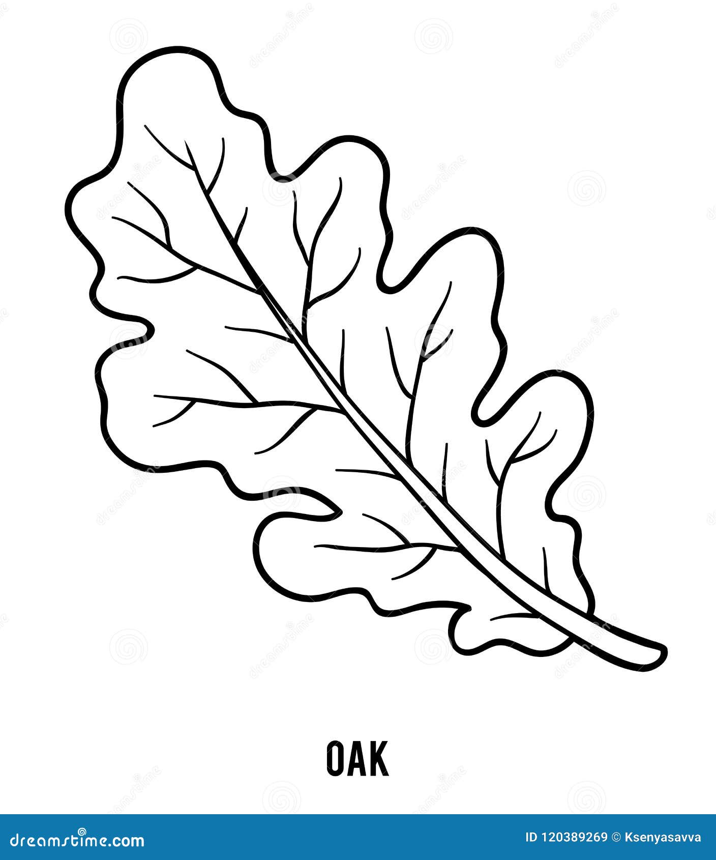 Coloring book oak leaf stock vector illustration of branch