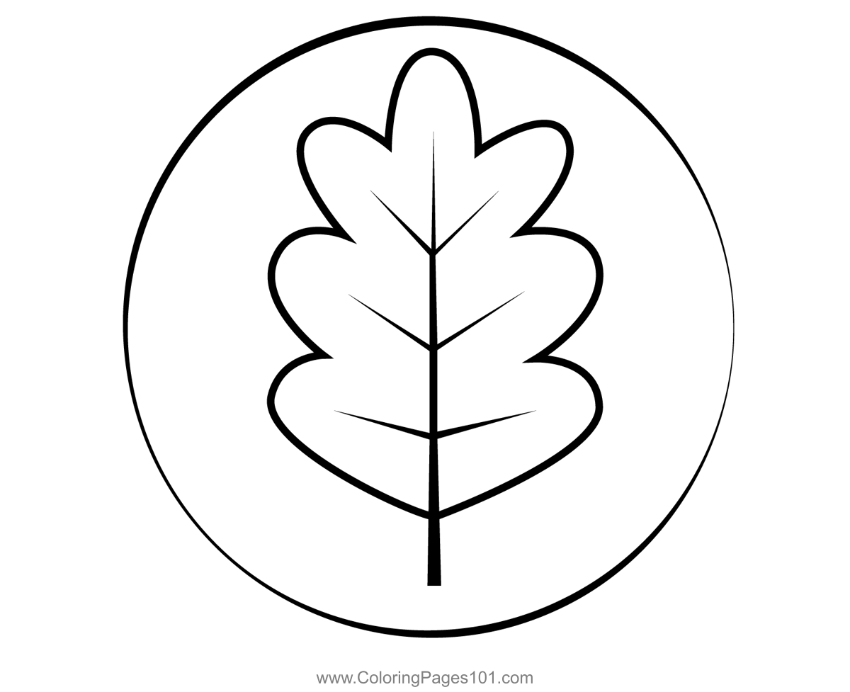 Oak leaf coloring page for kids