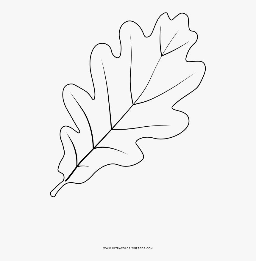 Oak leaf coloring page