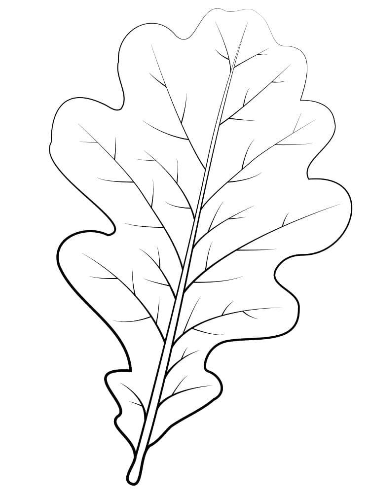 Perfect oak leaf coloring page