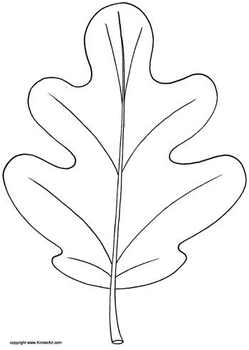 Oak leaf coloring page â kinderart leaf coloring page leaf template printable leaf coloring
